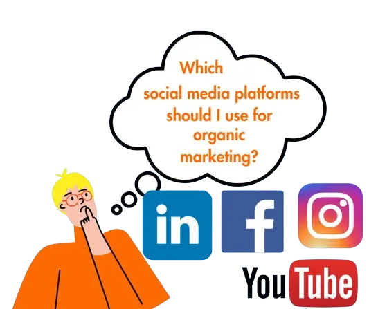 social media platform used for organic marketing