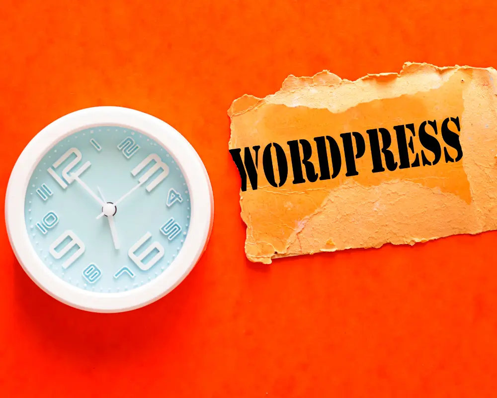 wordpress support service
